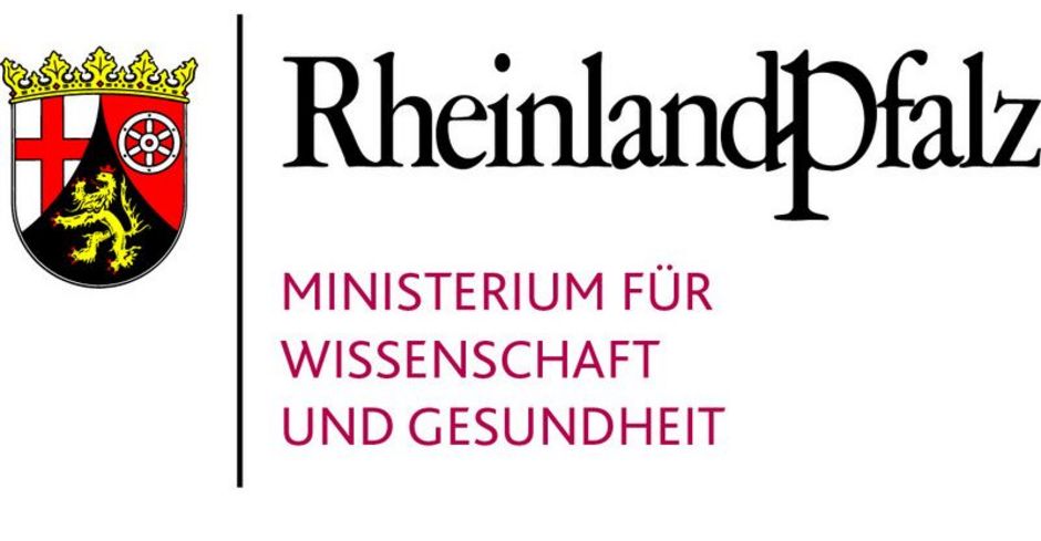 Kofinanziert vom Ministerium für Wissenschaft und Gesundheit