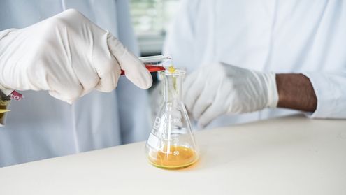 Hochschule Trier veröffentlicht Forschungsbericht 2023/24