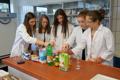 Schülerinnen beim Experimentieren mit verschiedenen Lebensmitteln