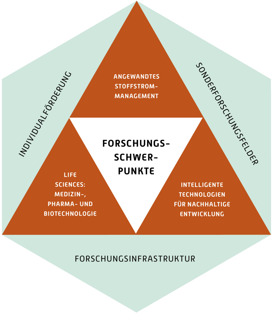 Abbildung: Forschungsprofil der Hochschule Trier