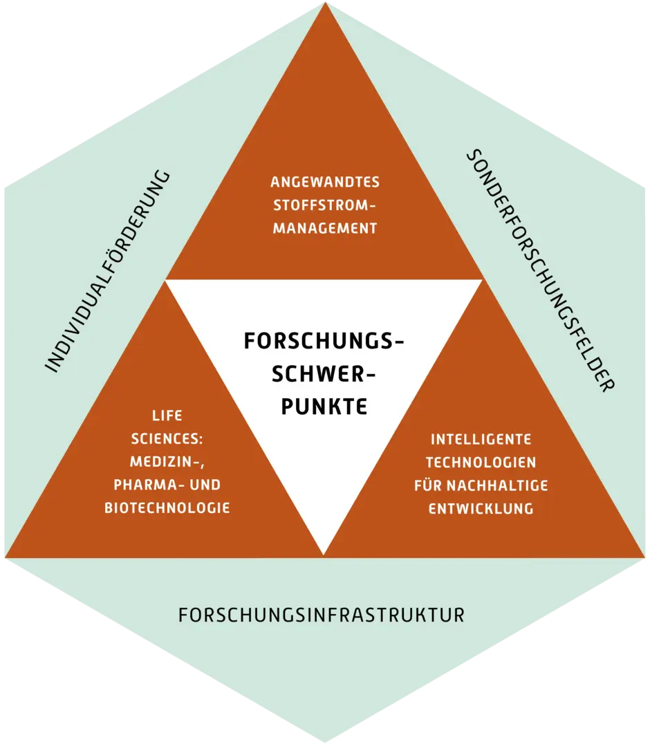 Abbildung: Forschungsprofil der Hochschule Trier