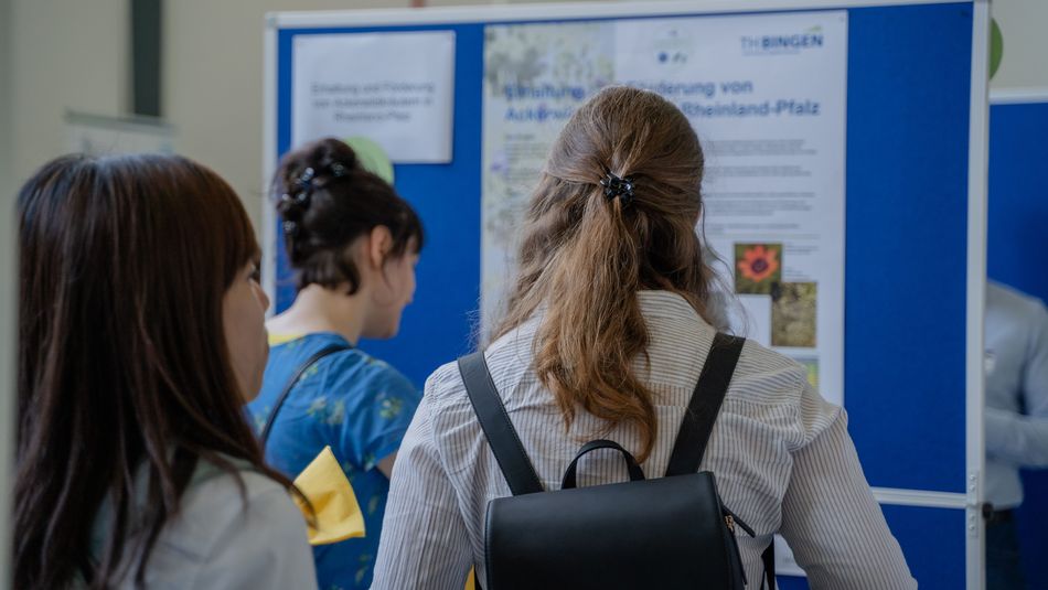 Interested parties look at posters