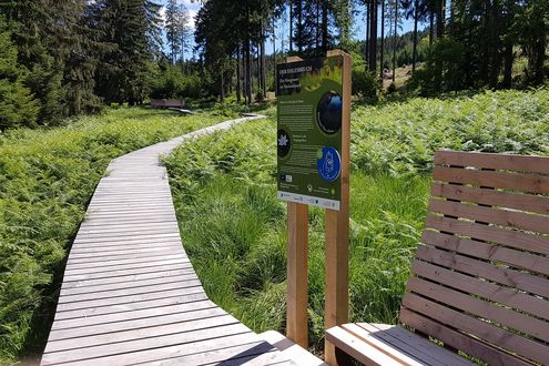 MINT-Wanderung 