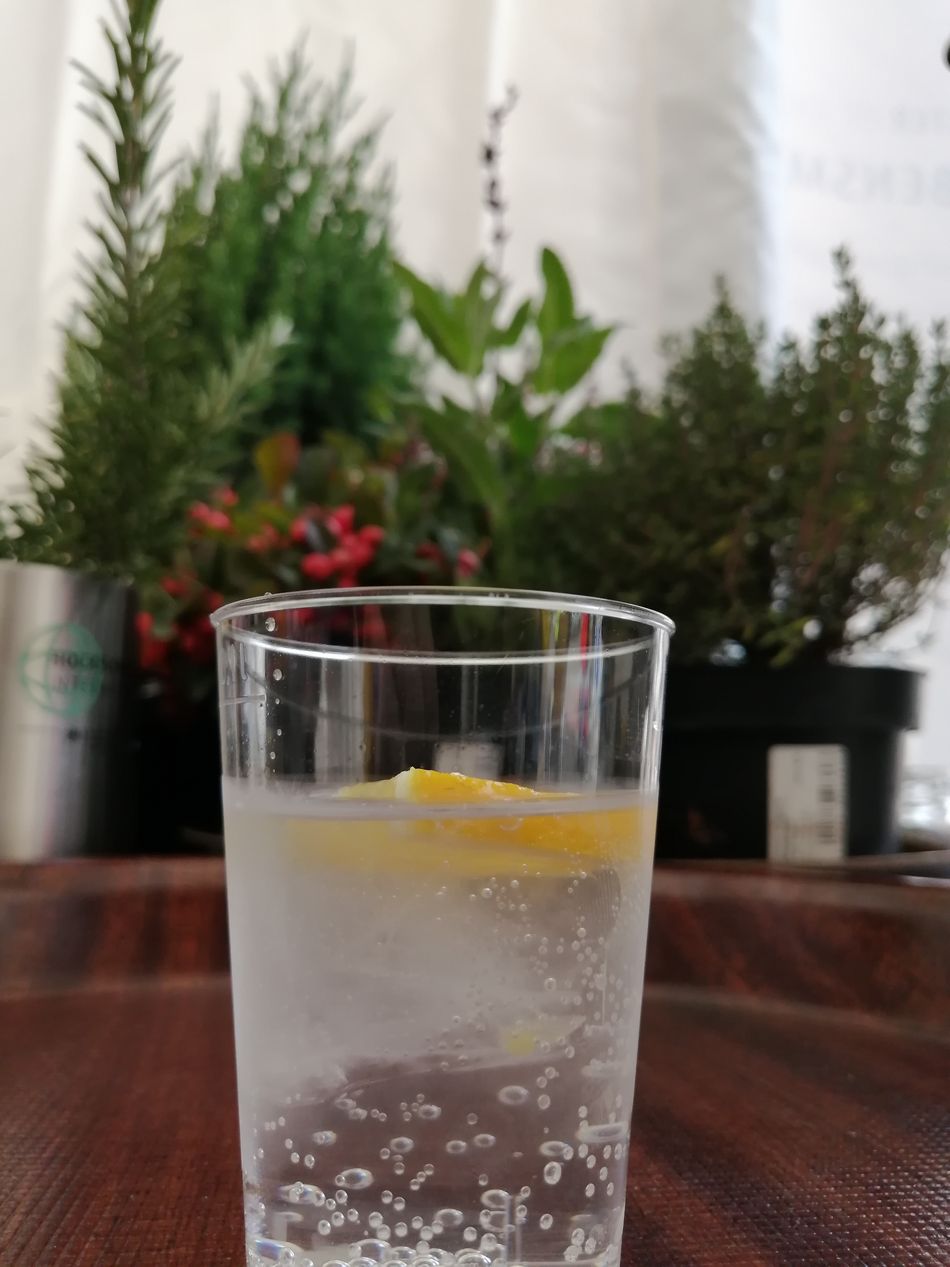 Becher mit alkoholfreiem Gin Tonic, im Hintergrund Botanicals