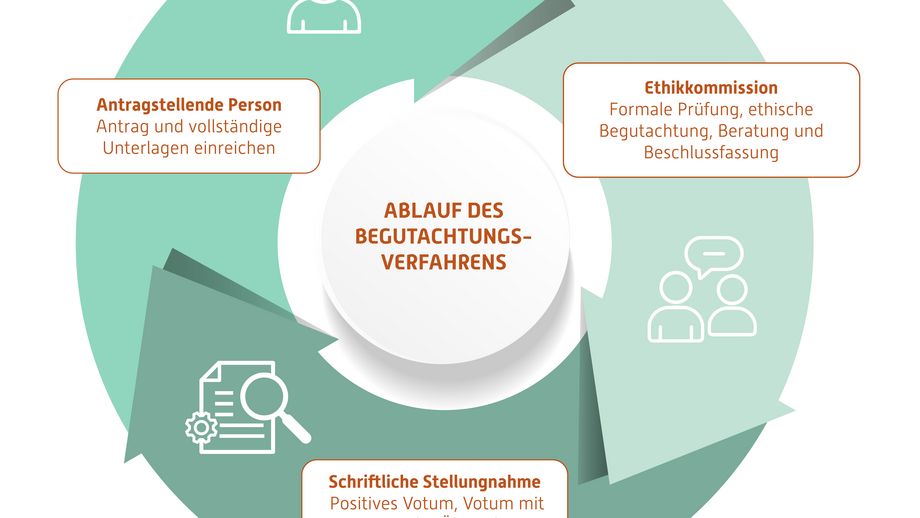 Darstellung der Arbeit der Ethikkommission in einem Kreis aus Pfeilen