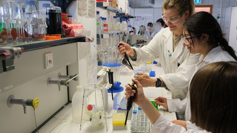 Hochschule Trier engagiert sich mit 26 Workshops am Girls’ & Boys’ Day