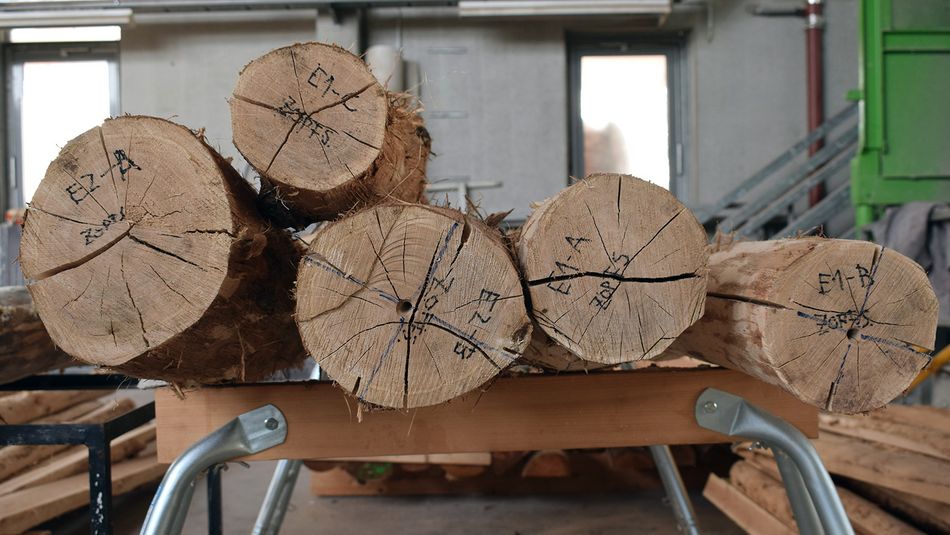 [Translate to Englisch:] Eichensystem Baumstämme Holz mit Rissen