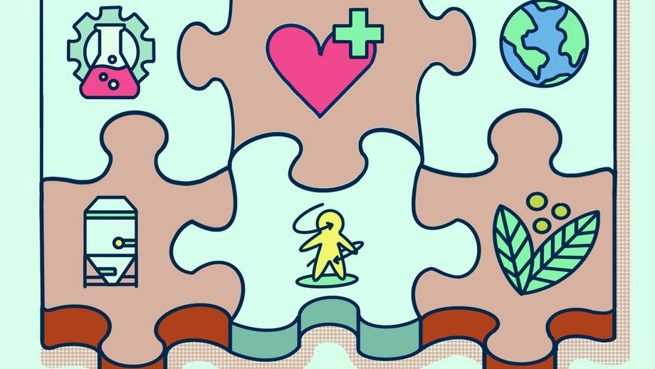 Puzzle mit verschiedenen Logos der Themenfelder des neuen Bachelor-Studiengang Lebensmittelinnovation - Gesundheit und Nachhaltigkeit