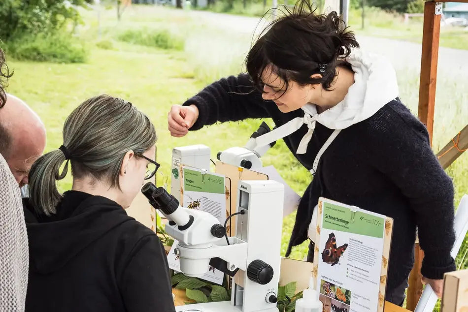 Impressionen 2014 Insektenmonitoring