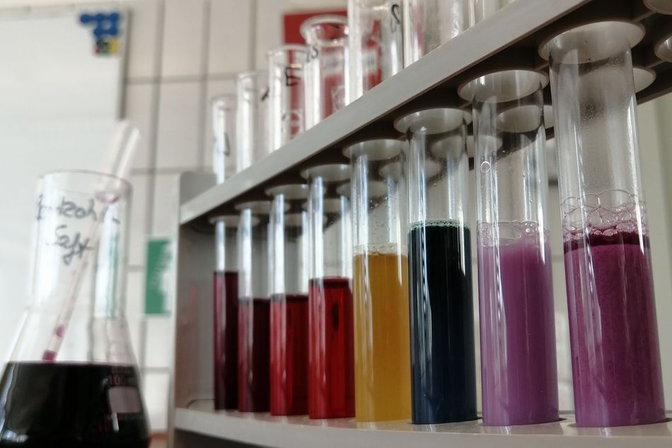 Labor Reagenzgläser mit verschiedenfarbigen Lösungen aus Rotkohlsaft stehen auf einem Labortisch.