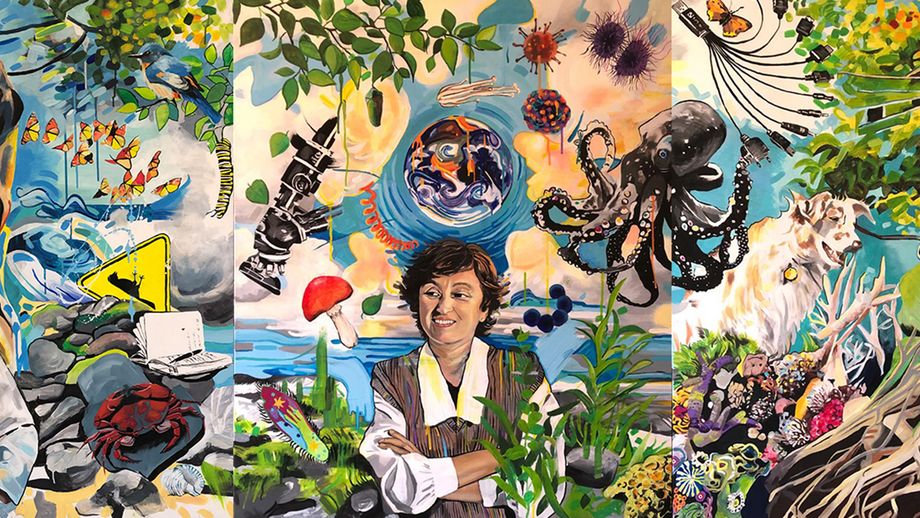 Lesung: We Are Volcanoes.