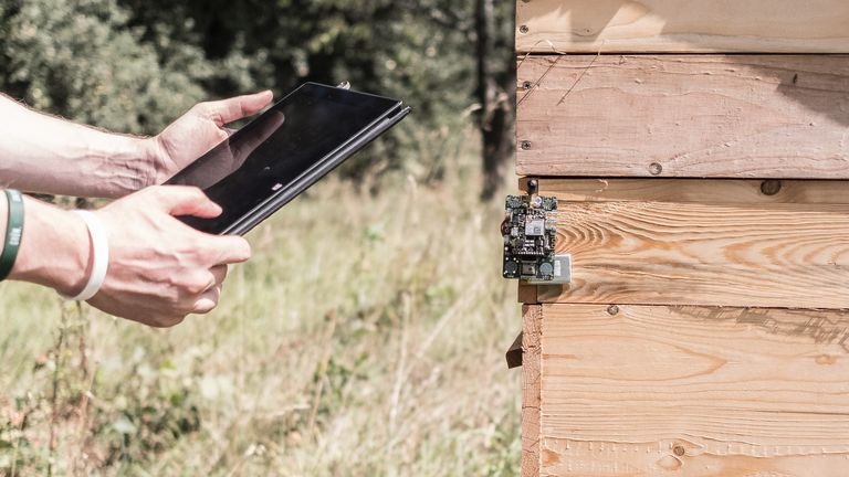 Internet der Dinge - Pilot - Bienestock mit Tablet