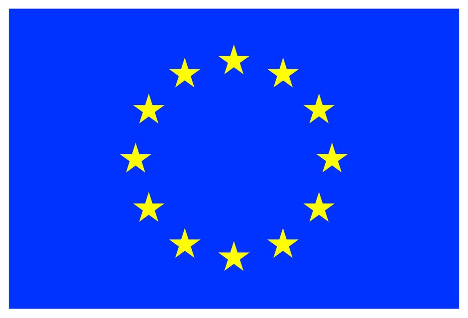 Flag of the EU