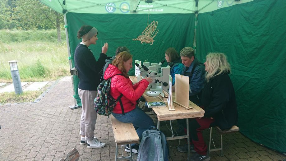 Gruppe beim Mikroskopieren