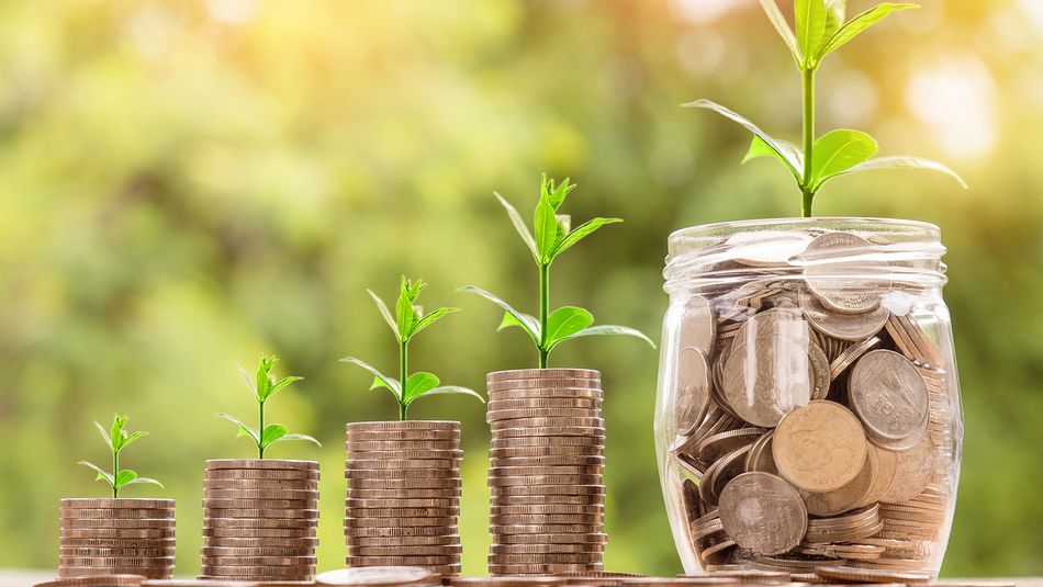Crowdfunding plants grow from capital